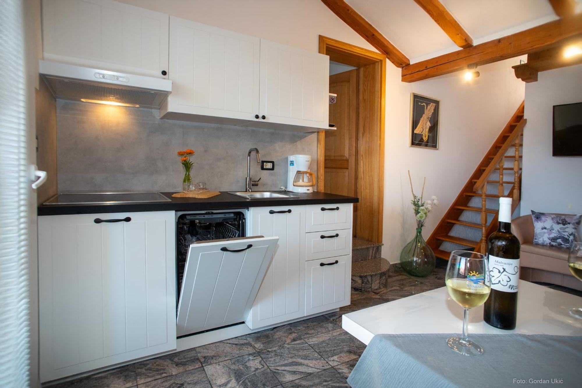 Guesthouse Mila Ровин Стая снимка
